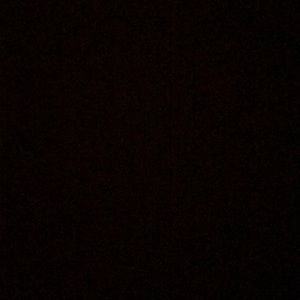 Meet your Posher, Ella